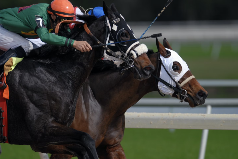 A Complete Betting Guide for the 2024 Pegasus World Cup